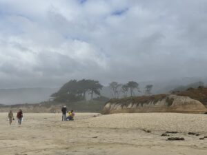 Ausflug zum Half Moon Bay am pazifischen Ozean