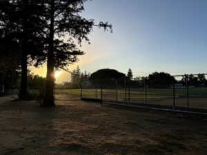 Bei einer morgendlichen Joggingrunde in unserem Park