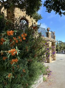 Park in San Francisco