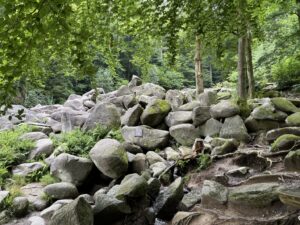 Auch in Bensheim konnte man total schöne Dinge erleben - hier war ich mit meinen Brüdern im Wald bei einem Steinmeer