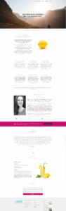Laura Seiler Website früher